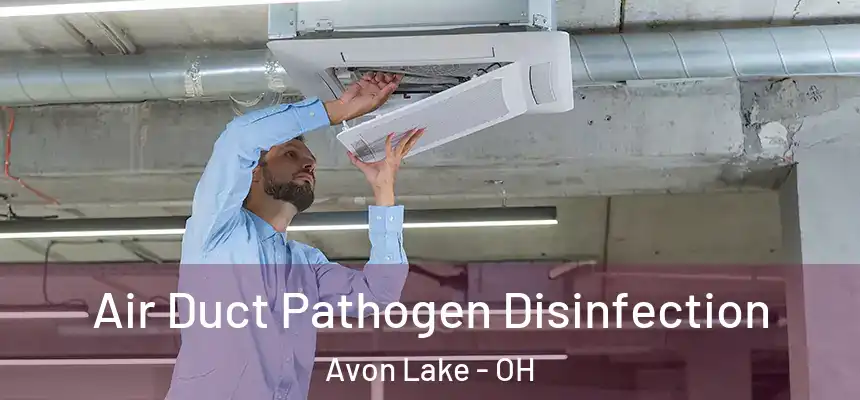  Air Duct Pathogen Disinfection Avon Lake - OH