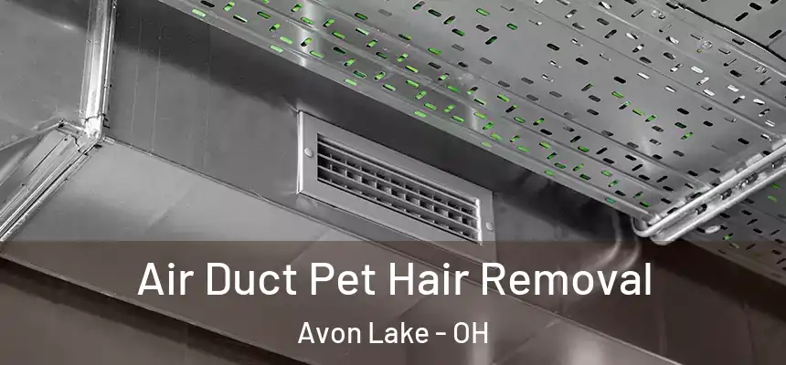  Air Duct Pet Hair Removal Avon Lake - OH