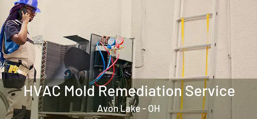  HVAC Mold Remediation Service Avon Lake - OH