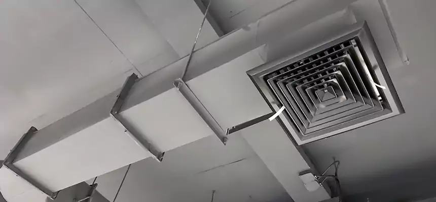 Our Pest Removal From Ducts Services in Avon Lake, OH