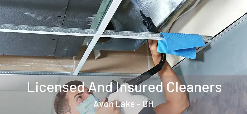  Licensed And Insured Cleaners Avon Lake - OH