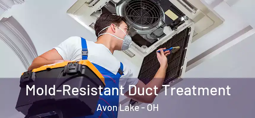  Mold-Resistant Duct Treatment Avon Lake - OH