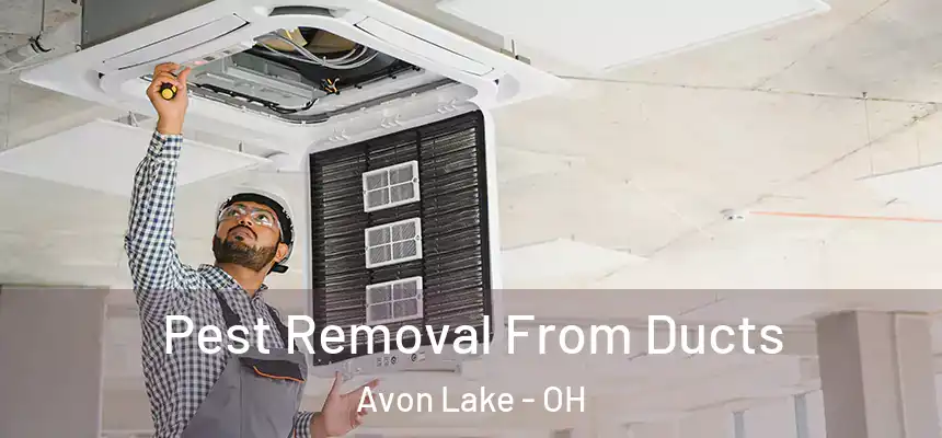  Pest Removal From Ducts Avon Lake - OH