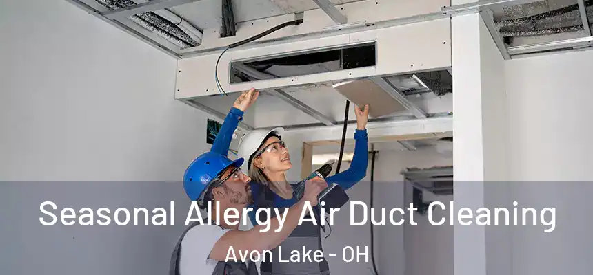 Seasonal Allergy Air Duct Cleaning Avon Lake - OH