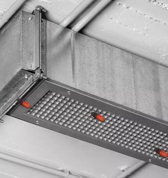 Affordable Insect Removal from Air Ducts in Avon Lake, OH