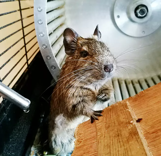 Why Homeowners & Businesses Trust Us Avon Lake, OH